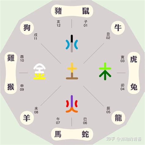 寅戌|十二地支类象详解 – 十二地支阴阳五行属性